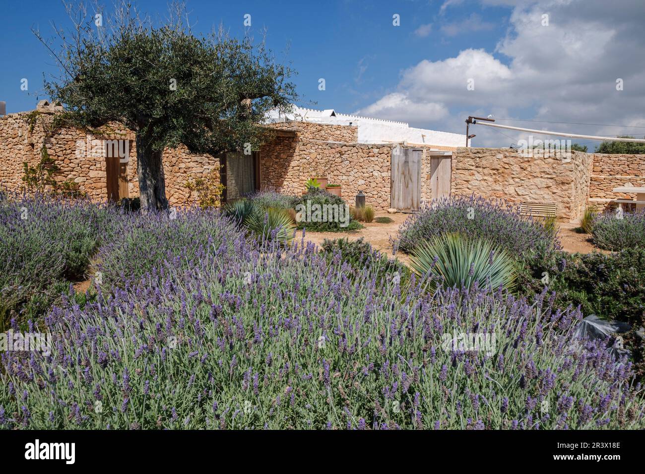 Cap de Barbaria wineries Formentera Stock Photo - Alamy