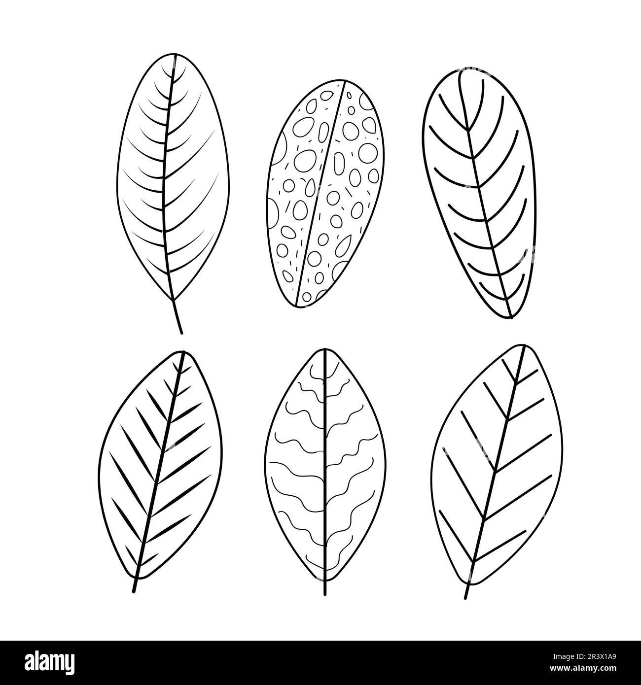 Set of leaves silhouettes isolated on white background. Vector EPS10 ...