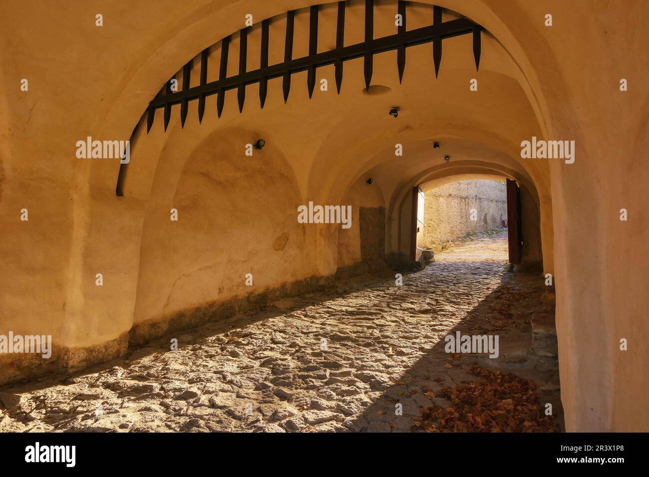 medieval entrance with gates. architectural background Stock Photo