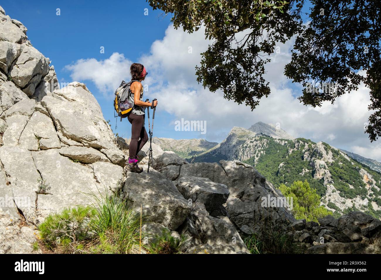 escursionista ascendiendo al Puig des Tossals Verds, Escorca, Paraje natural de la Serra de Tramuntana, Mallorca, balearic islands, Spain. Stock Photo