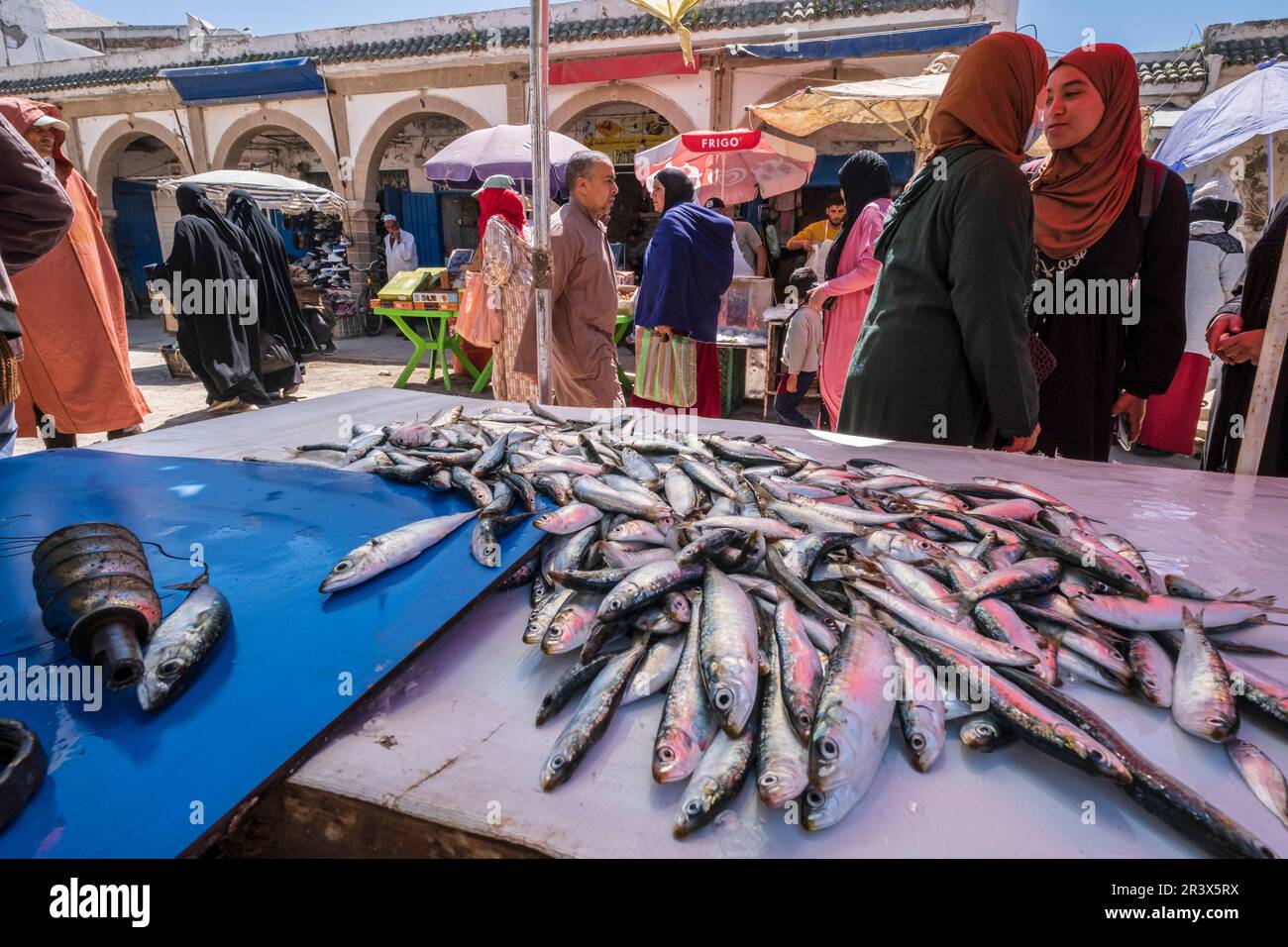 Women with fish hi-res stock photography and images - Alamy