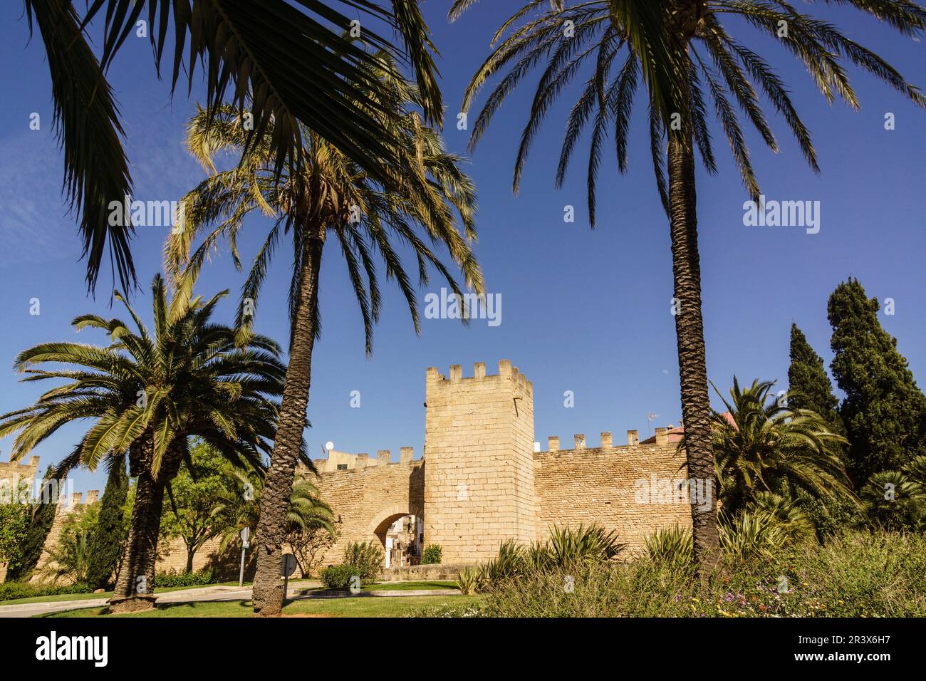 muralla medieval, siglo XIV, Alcudia,Mallorca, islas baleares, Spain. Stock Photo