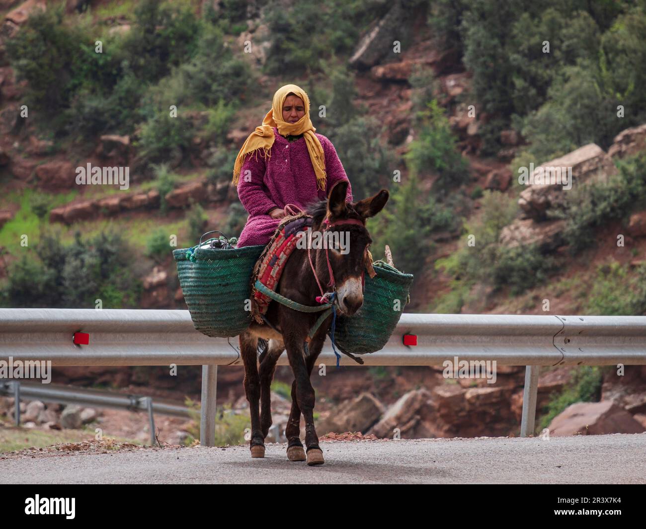 Berber woman riding a donkey Stock Photo