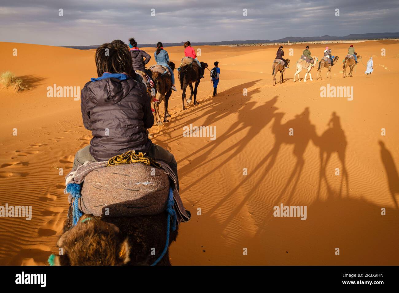 Erg Chebbi dunes, Merzouga, Marruecos, Africa. Stock Photo