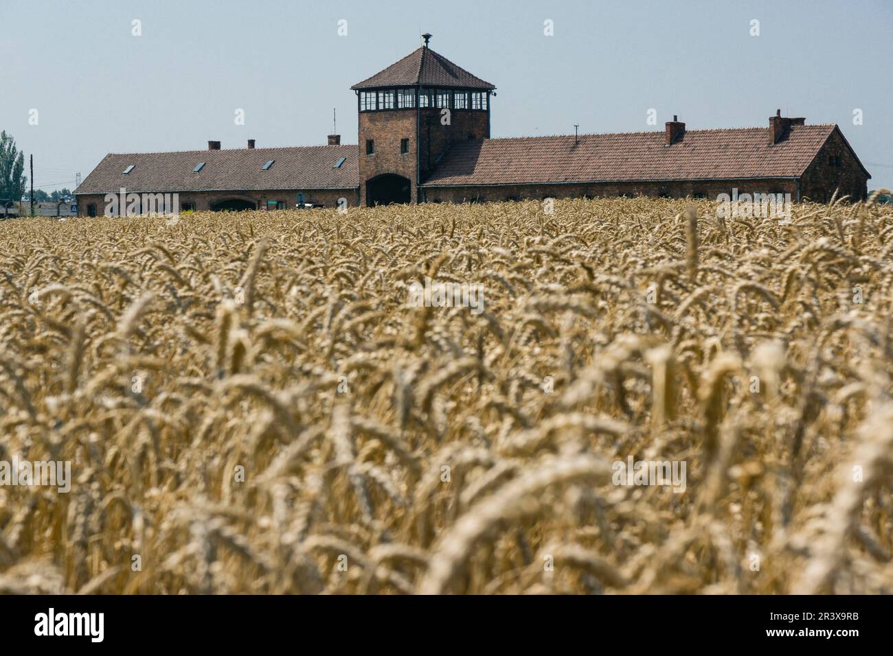 campo de concentracion de Auschwitz-Birkenau, museo estatal, Oswiecim, Polonia, eastern europe. Stock Photo