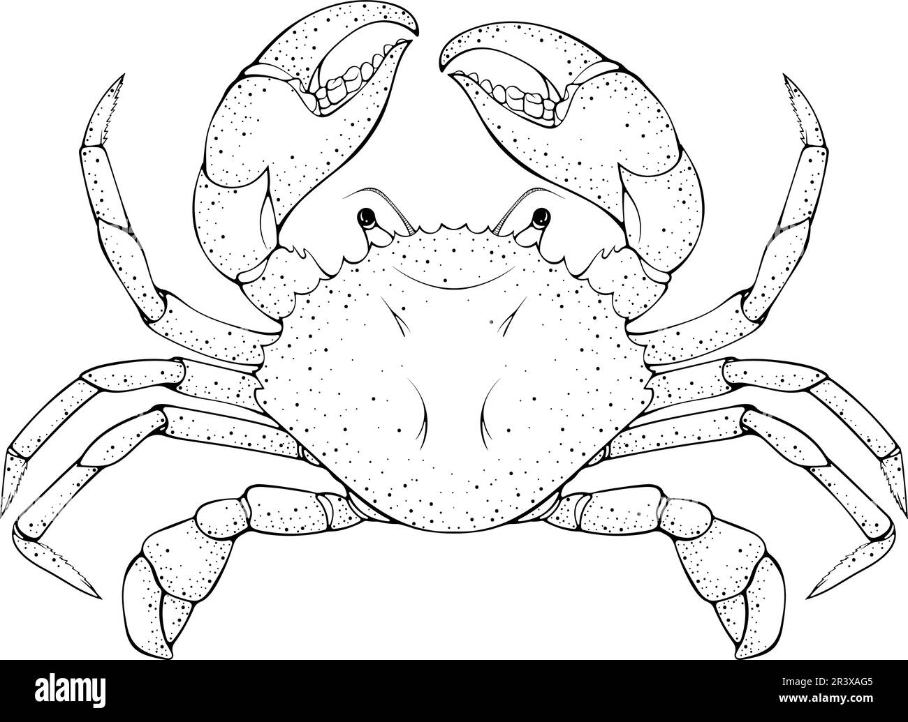 Crab line art Stock Vector Image & Art Alamy
