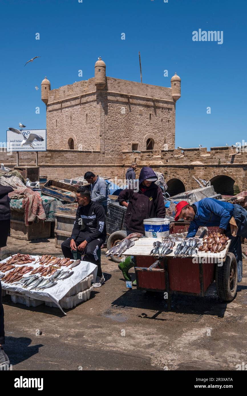 fresh fish market, fishing port, Essaouira, morocco, africa Stock Photo