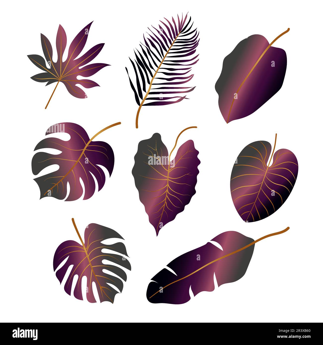 Tropical leaves collection. Vector isolated elements on the white ...