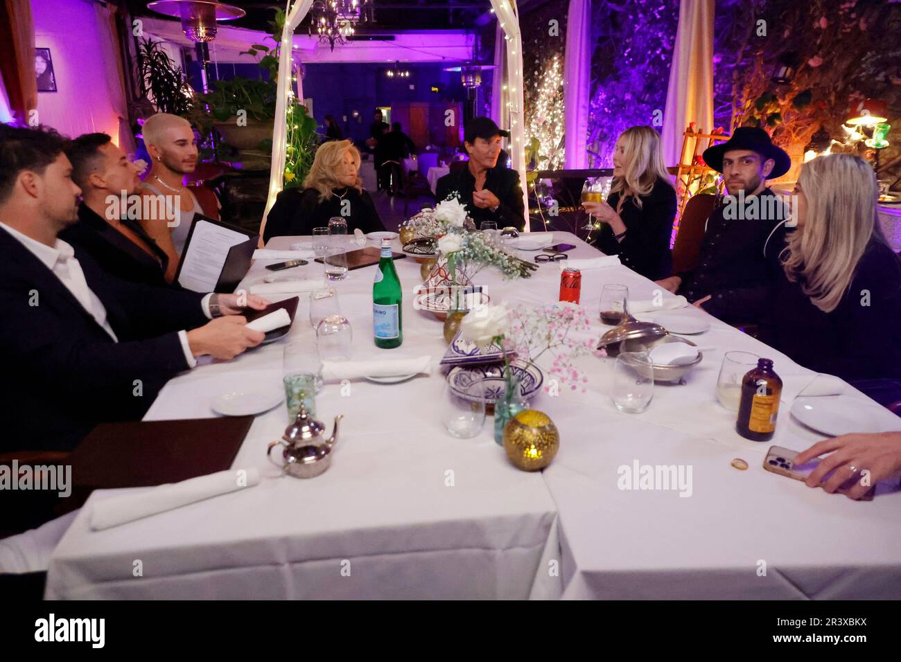 Los Angeles, Ca. 24th May, 2023. Jocelyn Wildenstein, Lloyd Klein