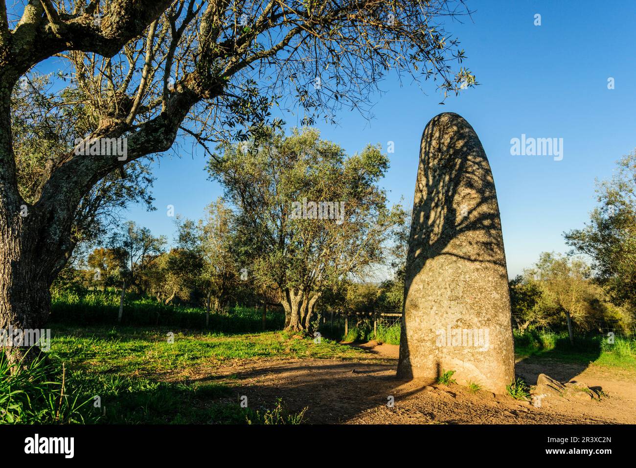 Menhir Dos Almendres,neolitico antiguo, Nossa Senhora de Guadalupe,Valverde, Evora,Alentejo,Portugal, europa. Stock Photo