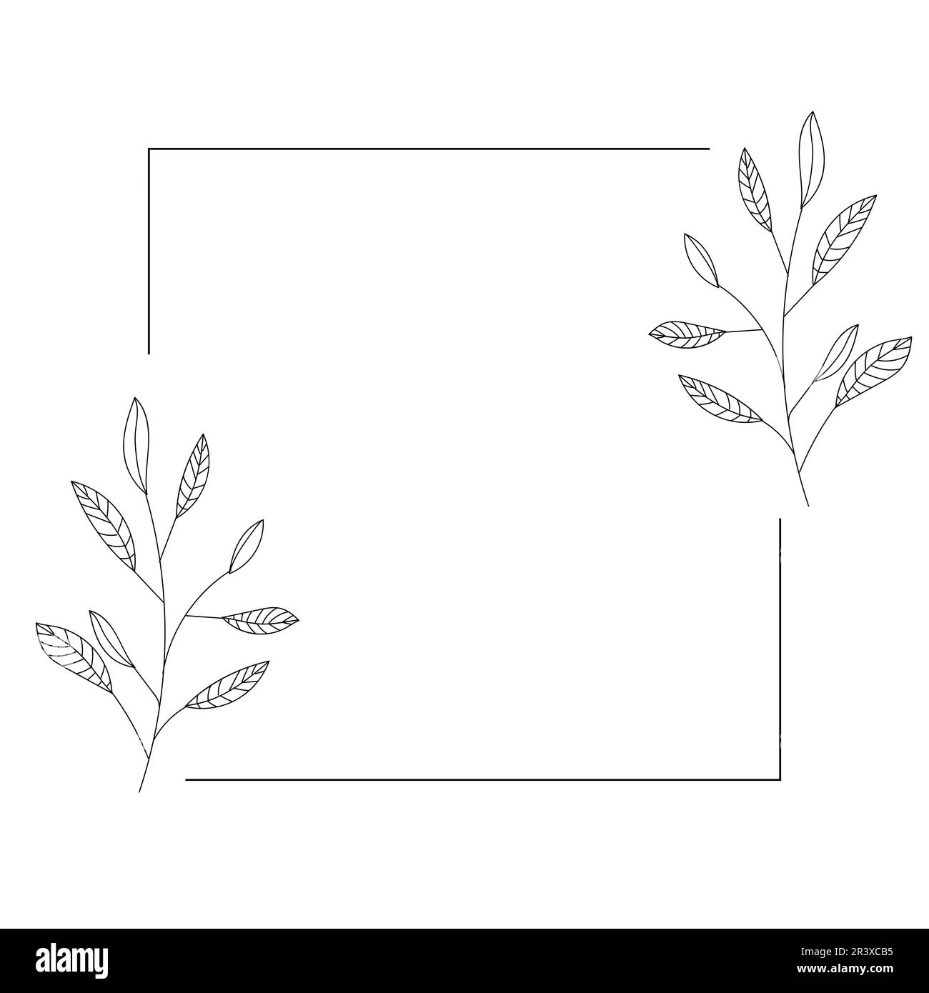 Botanical leafes frame. Vector Illustration on white background. Vector ...