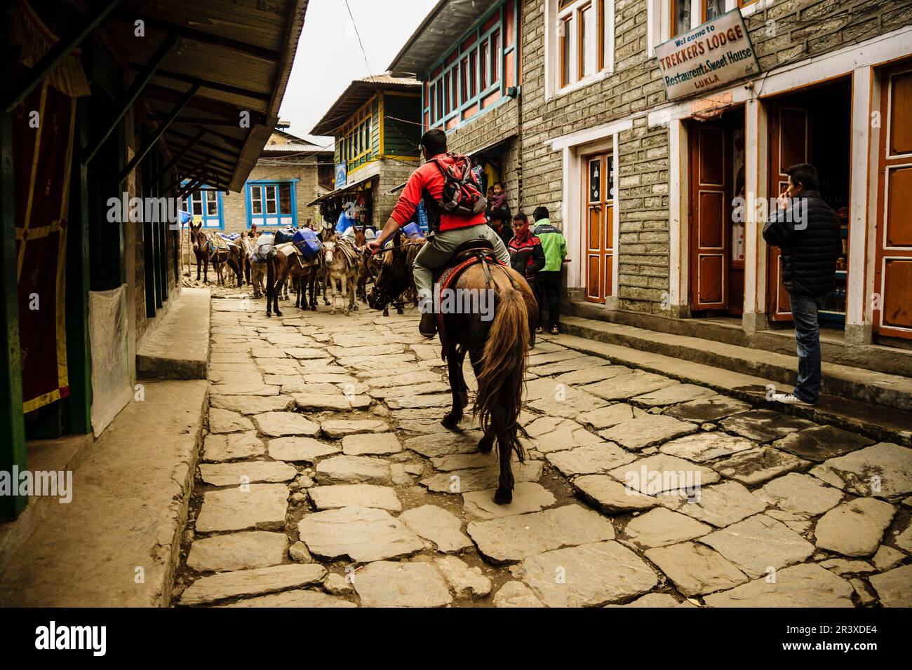 animales de carga.Lukla.Sagarmatha National Park, Khumbu Himal, Nepal, Asia. Stock Photo