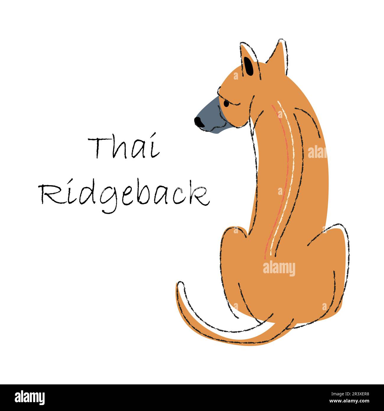 Thai Ridgeback . Cute dog cartoon characters . Flat shape and line stroke design . Vector illustration . Stock Vector