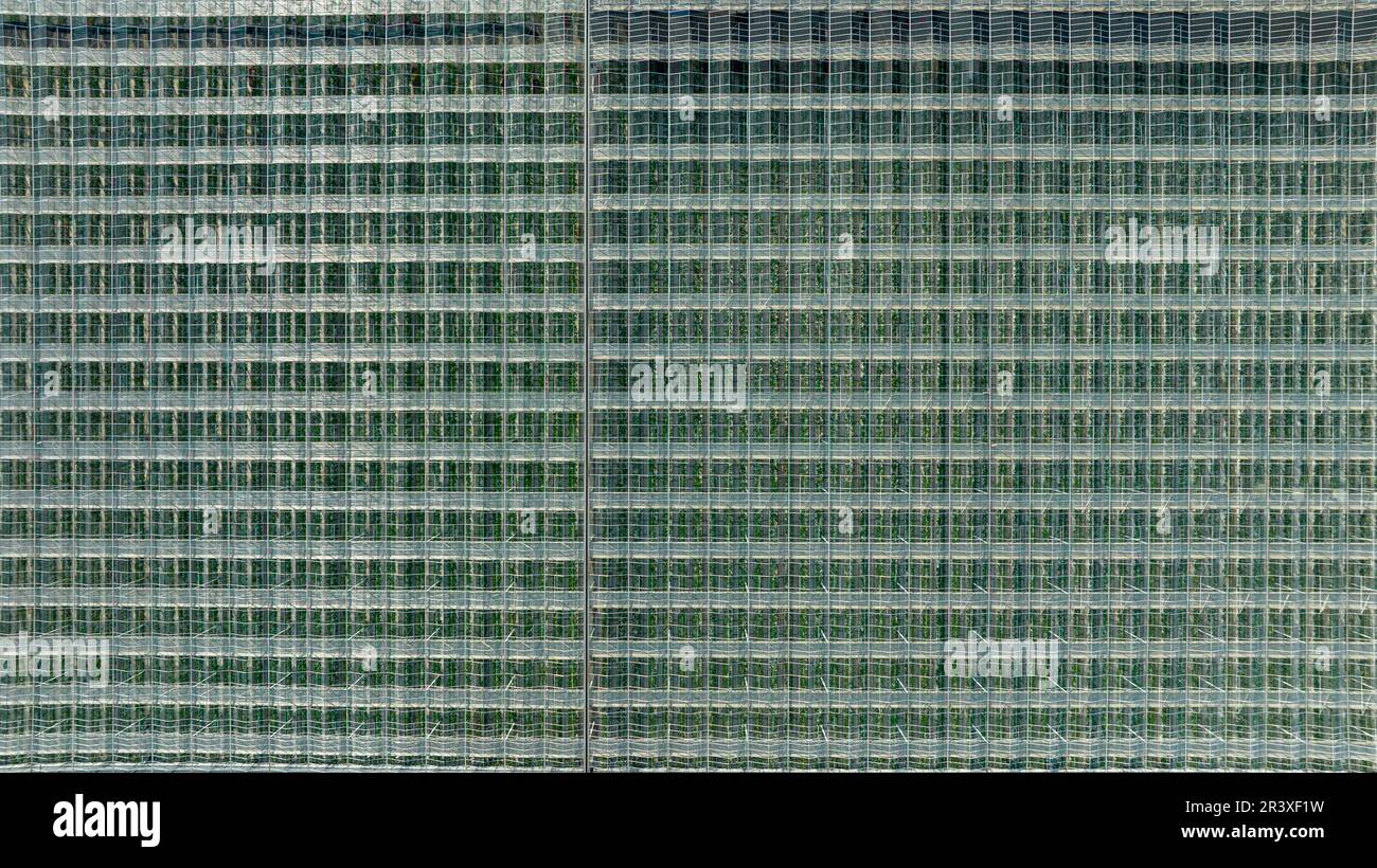 Vitre (Brittany, north-western France): aerial view of horticultural greenhouses, large-scale production. The greenhouse is bordered by a road separat Stock Photo