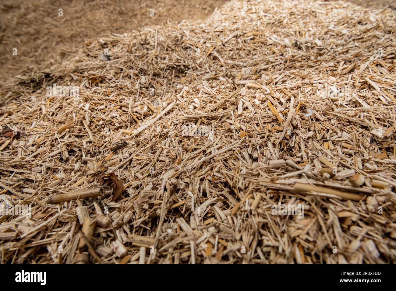 Storage of crushed organic miscanthus used as a litter or for heating