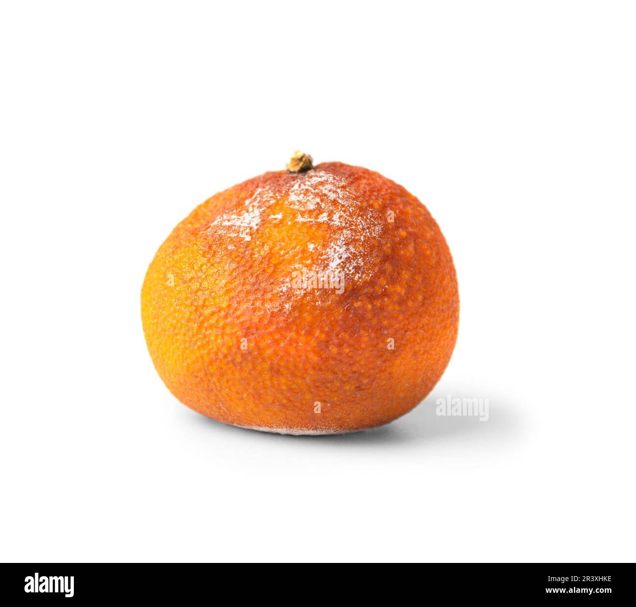 Orange with mold isolated on a white background. Moldy citrus fruit