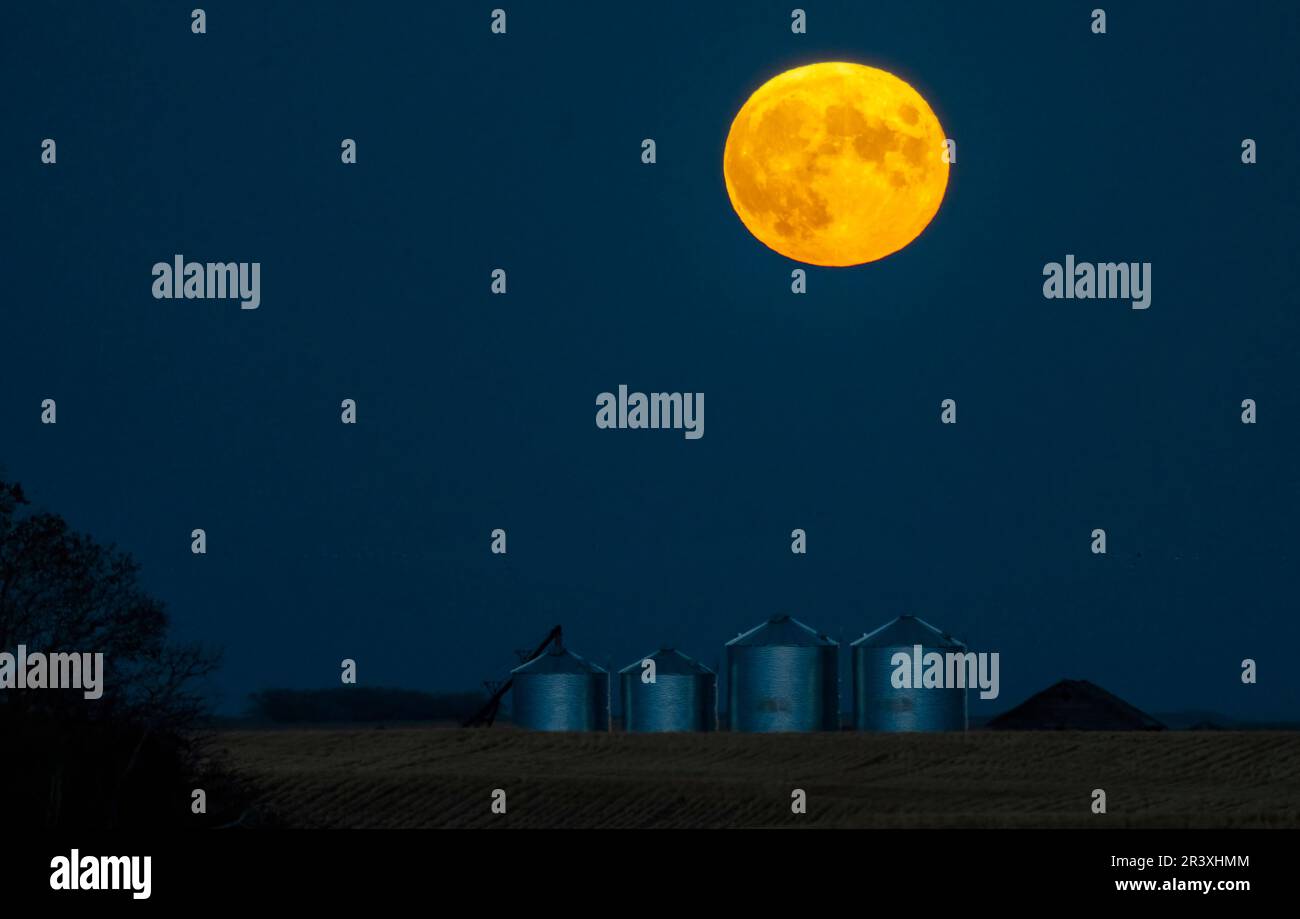 Full Moon Canada Stock Photo Alamy