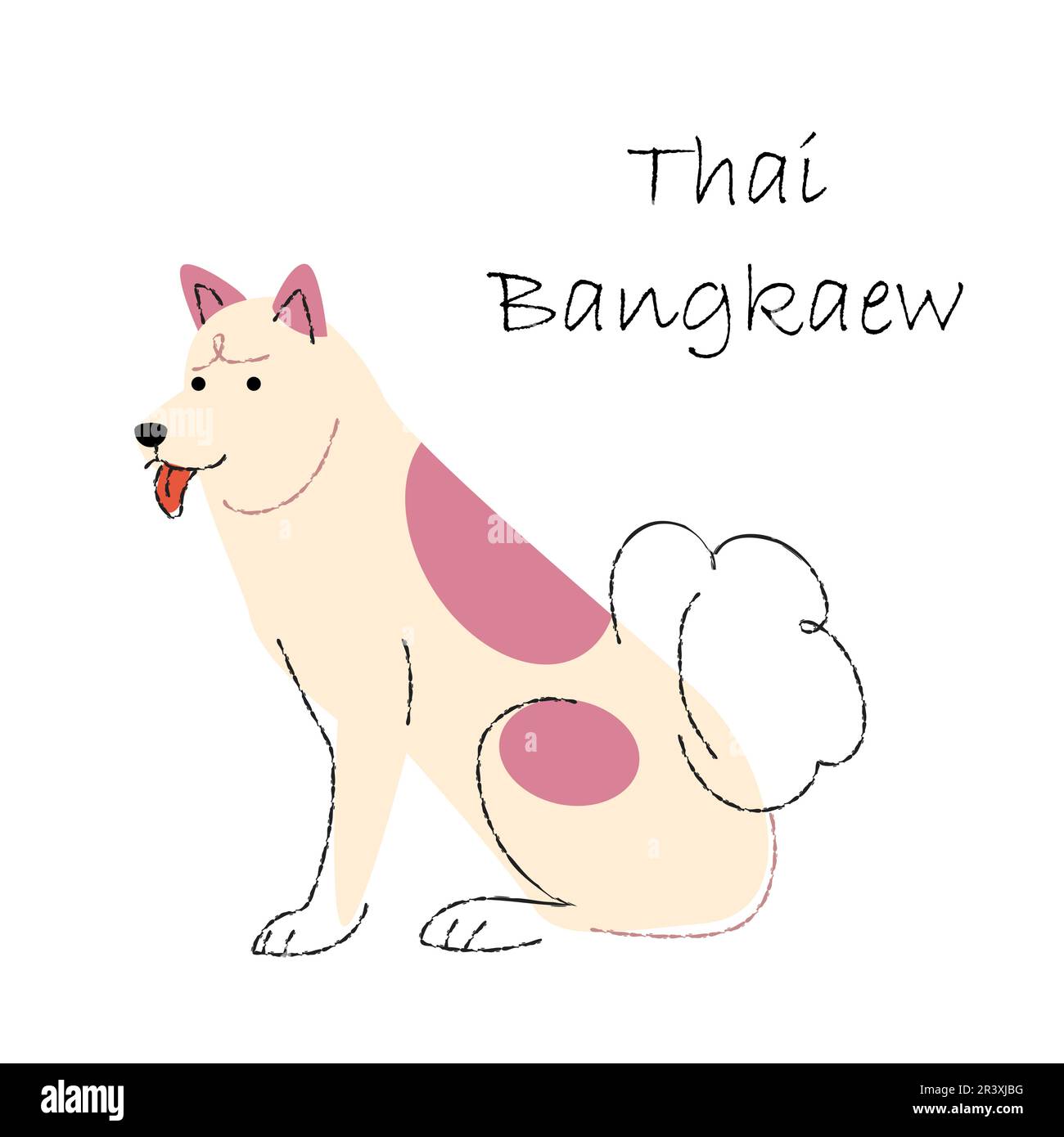 Thai Bangkaew . Cute dog cartoon characters . Flat shape and line stroke design . Vector illustration . Stock Vector