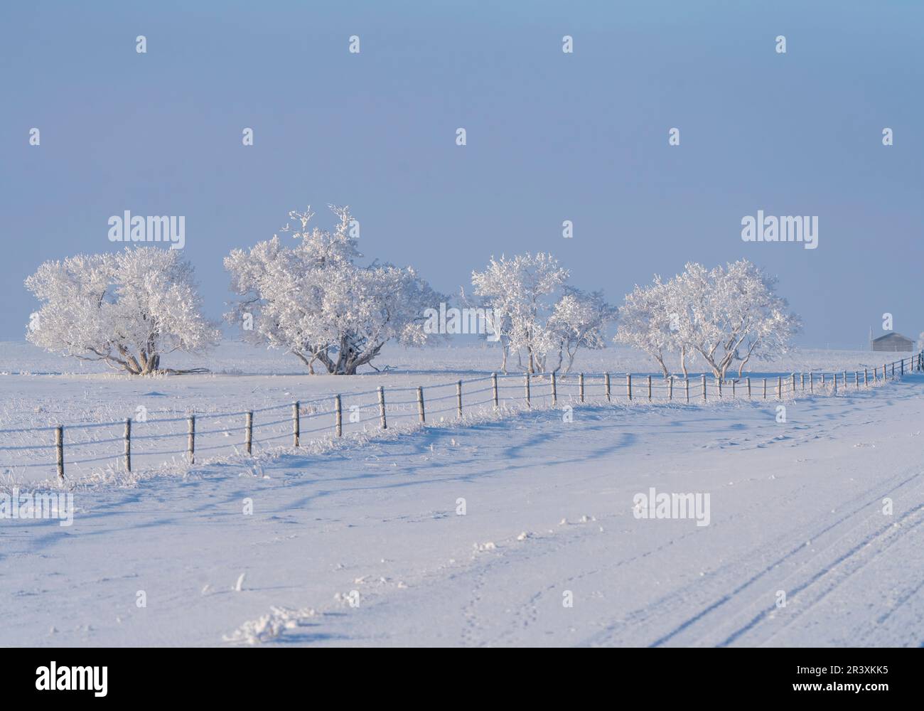 Prairie Winter Scenes Stock Photo