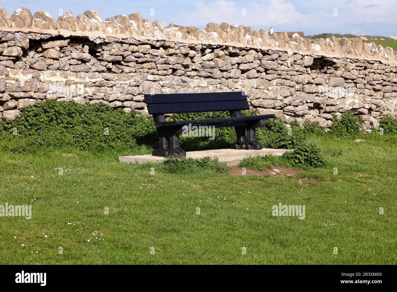 A newly added seat made from recycled plastic and situated in a