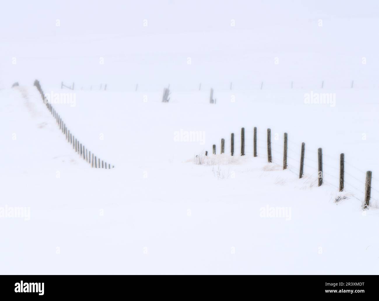 Prairie Winter Scenes Stock Photo