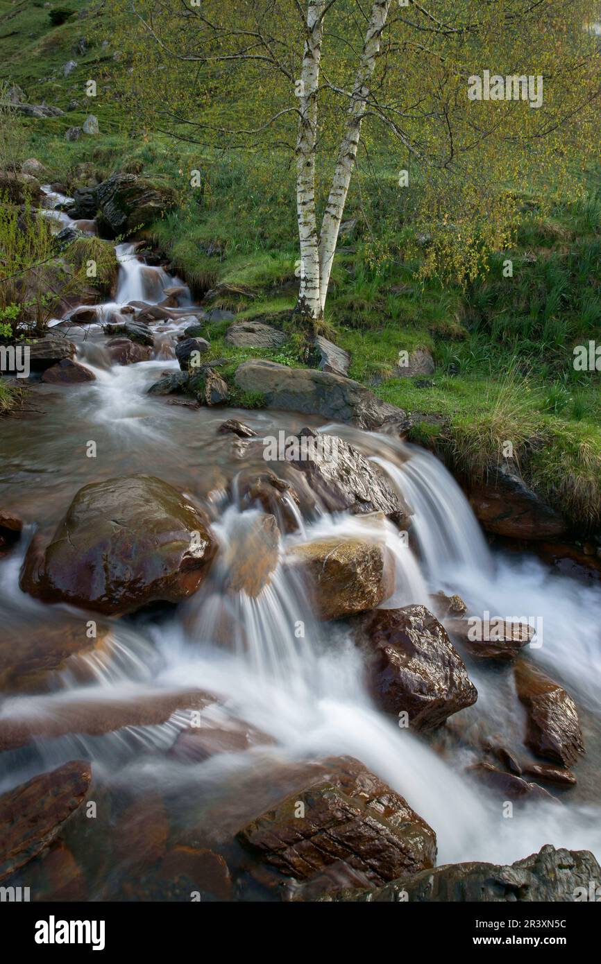 Barranco de los Orieles.Valle de Gistain.Pirineo Aragones. Huesca. España. Stock Photo