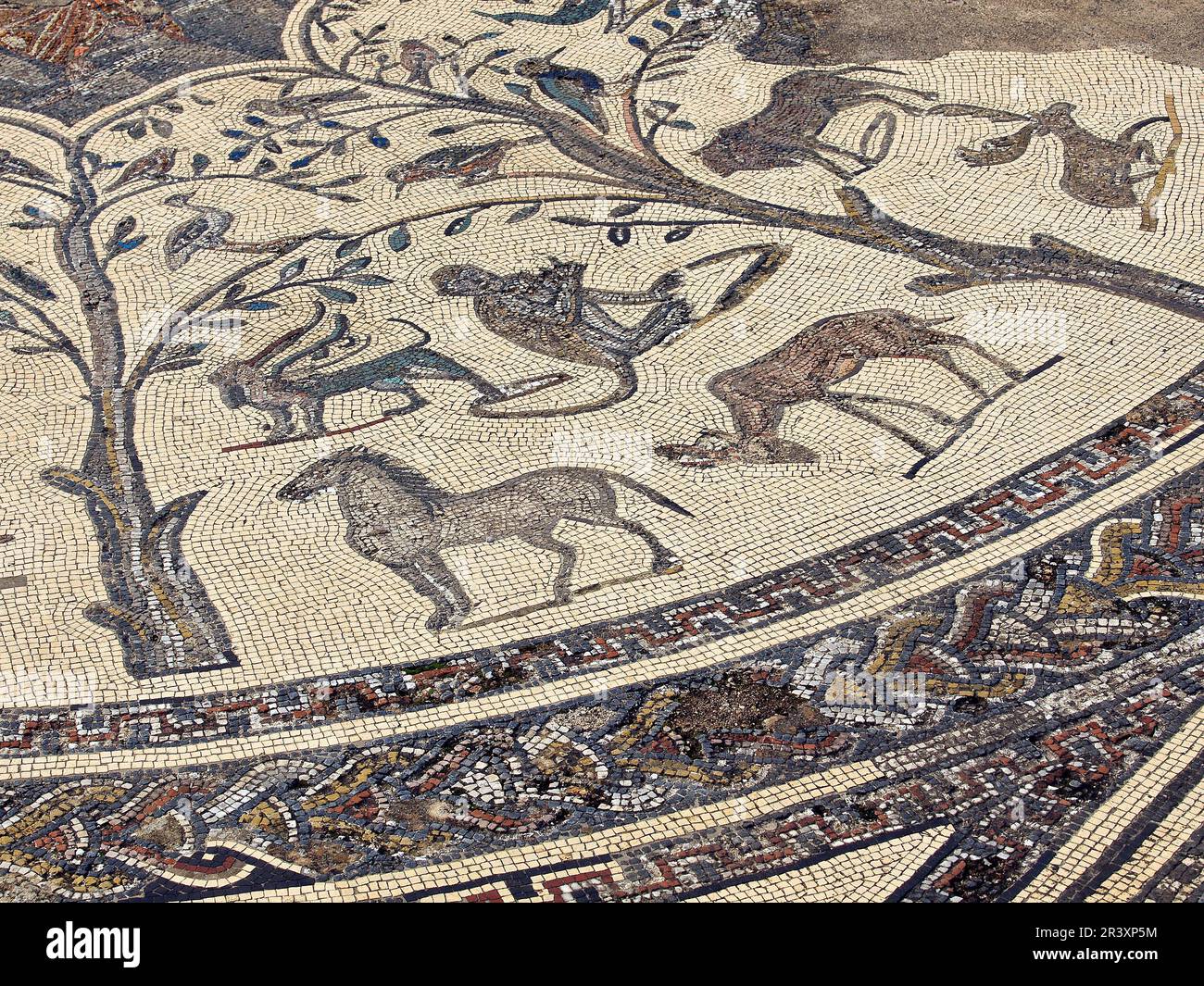 Mosaico de orfeo hi-res stock photography and images - Alamy