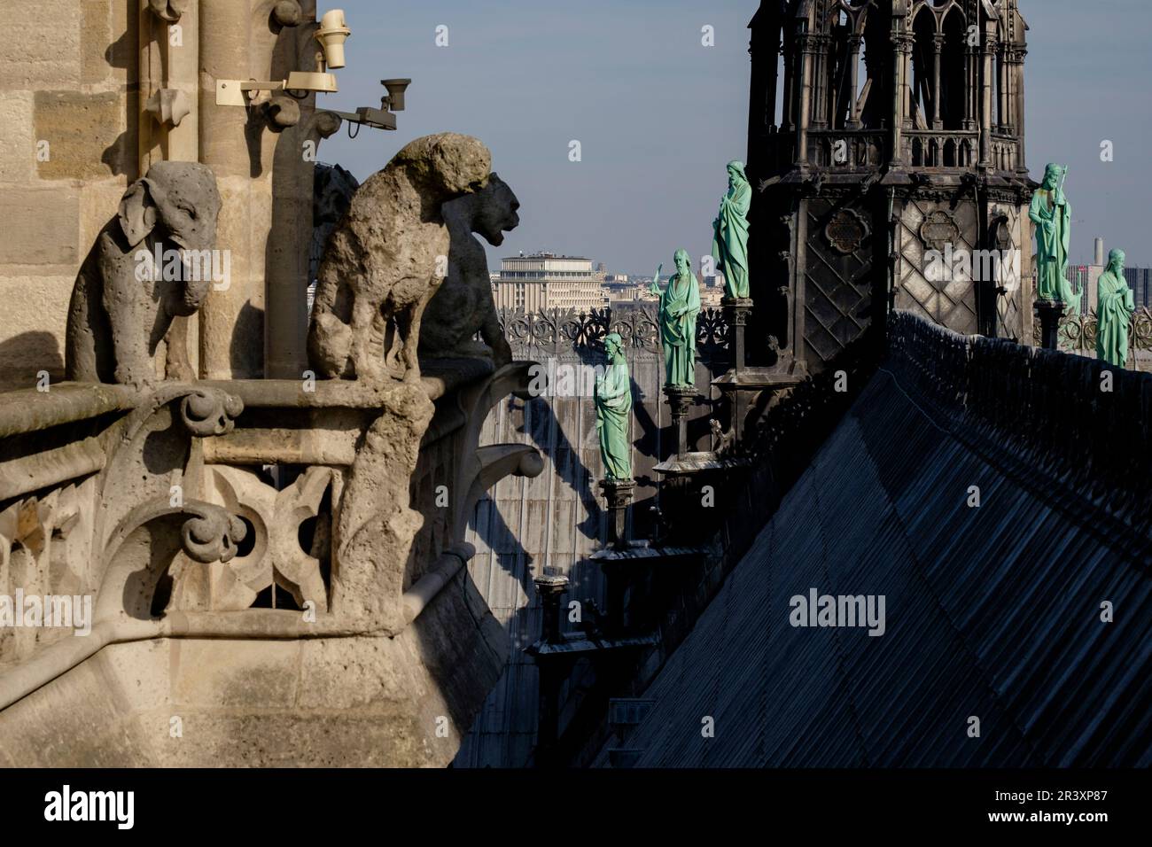 gárgolas, Cathédrale Notre Dame, sede de la archidiócesis de París, Paris, France,Western Europe. Stock Photo