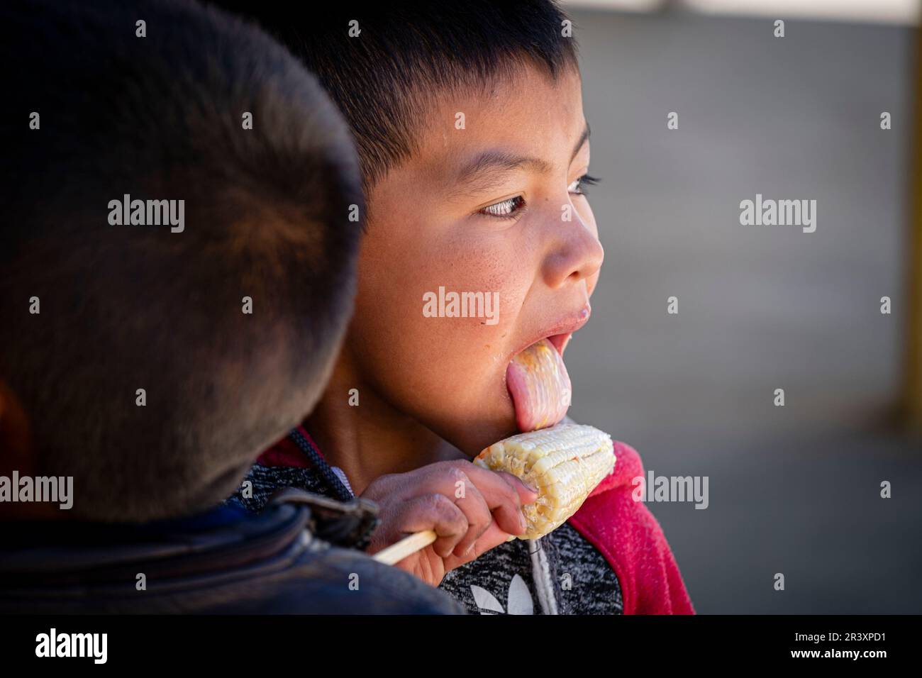 ñiño comiendo maiz heladdo, escuela de primària, Patzojón Chiquito, Quiche, Guatemala, America Central. Stock Photo