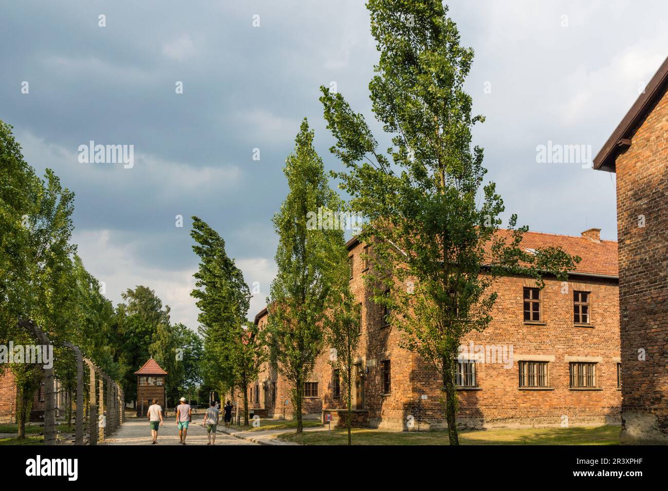 campo de concentracion de Auschwitz I, museo estatal, Oswiecim, Polonia, eastern europe. Stock Photo