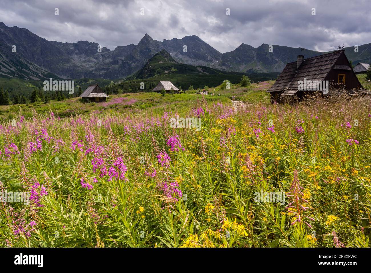 cabaña, Valle de gasienicowa , parque nacional Tatra, voivodato de la Pequeña Polonia, Cárpatos, Polonia, europe. Stock Photo