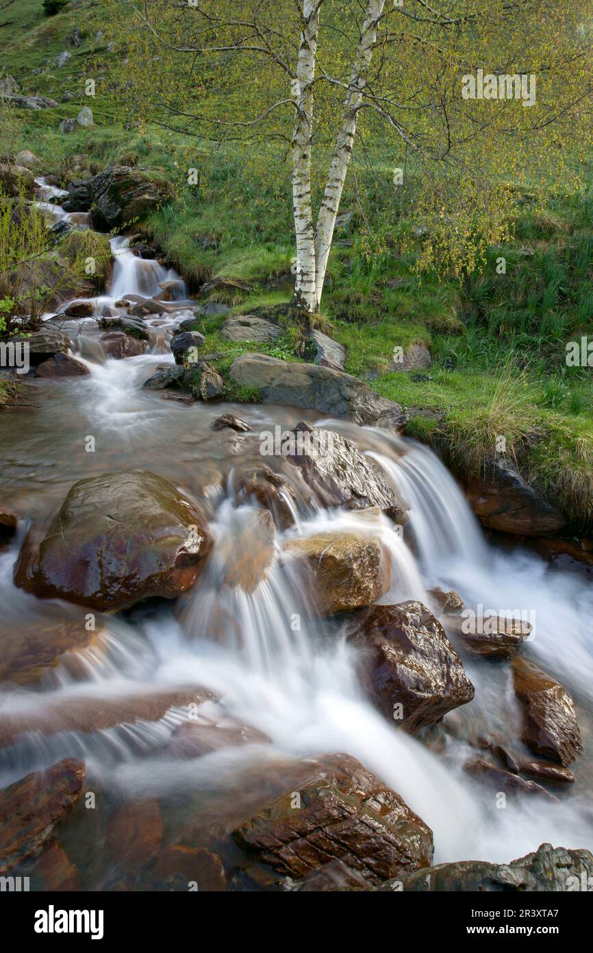 Barranco de los Orieles.Valle de Gistain.Pirineo Aragones. Huesca. España. Stock Photo