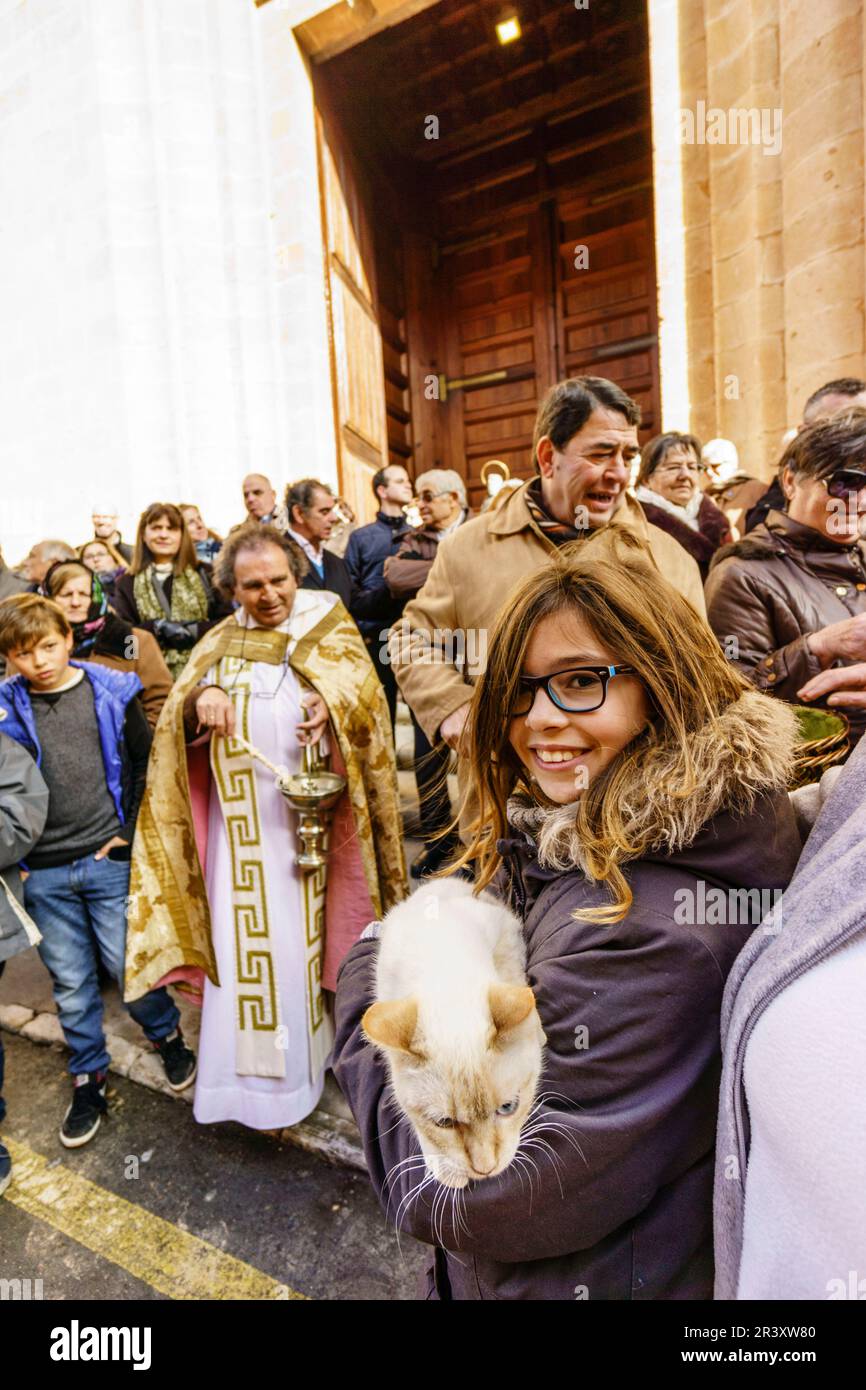 bendicion de los animales de Sant Antoni,patron de los animales domesticos,Llucmajor, Mallorca, islas baleares, Spain. Stock Photo