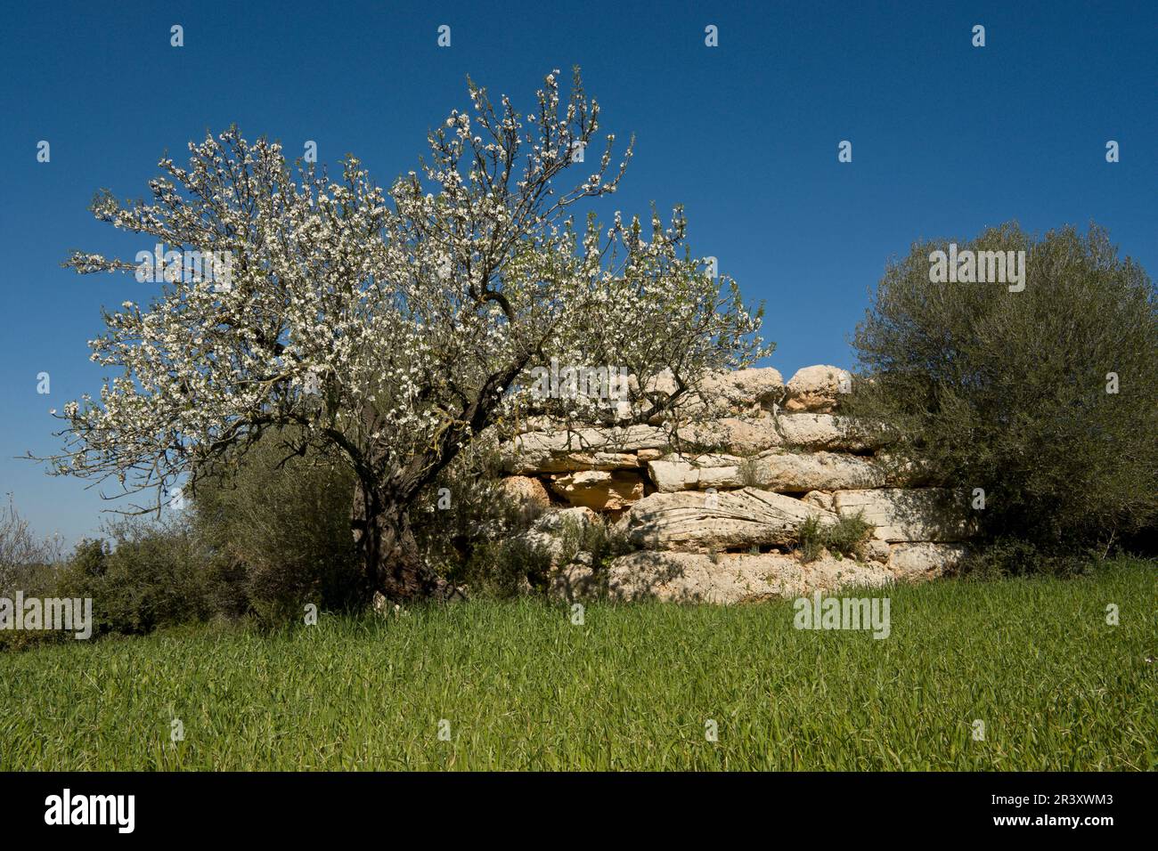 Muro de piedra seca rural hi-res stock photography and images - Alamy