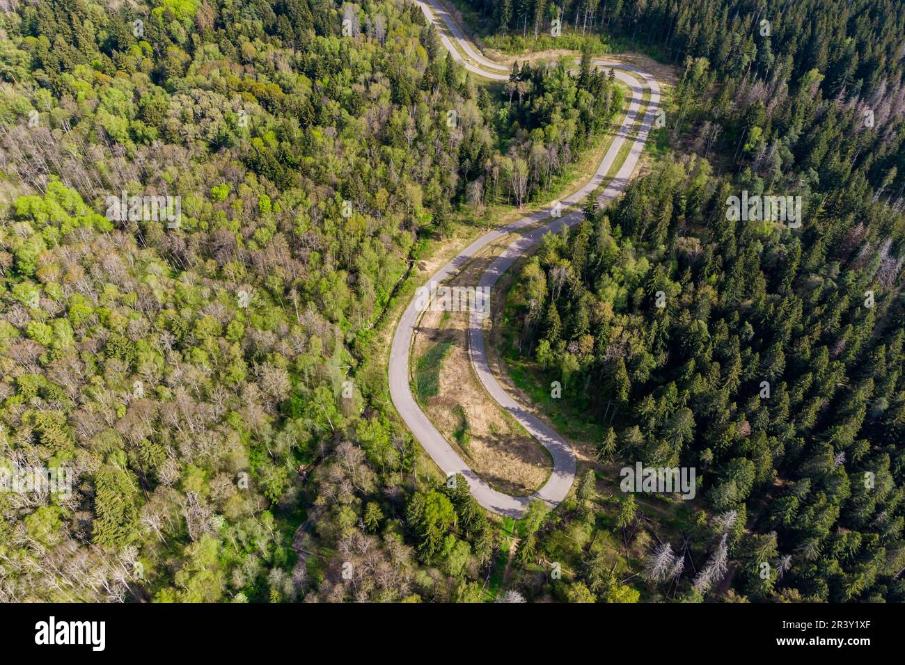 Aerial view of the roller ski track in the forest for training and competition Stock Photo