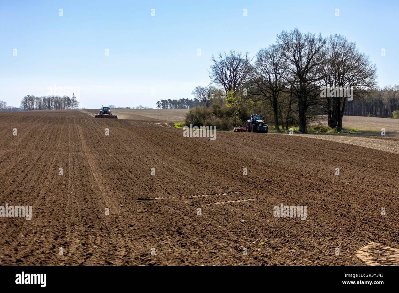 Ground cultivation for corn sowing with tractor Fendt 1050 (500 hp) and Horsch cultivator Tiger 5 AS, working depth 25 cm in Meyenburg, May 25th, 2023. || Model release available Stock Photo