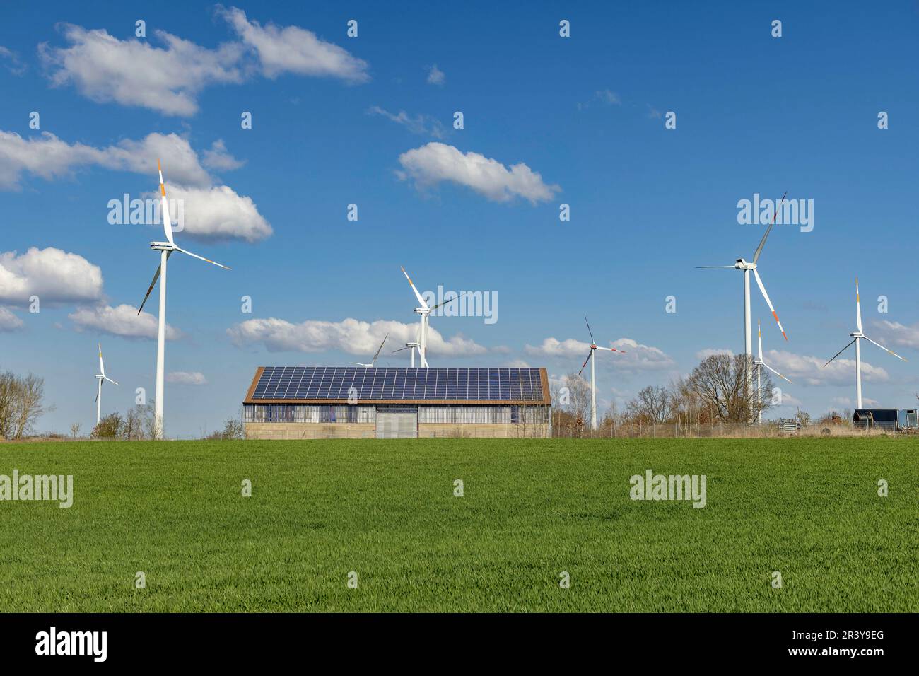 Meyenburg, Deutschland. 19th Apr, 2023. Solar modules on a stable and wind turbines in Brandenburg || Model release available Credit: dpa/Alamy Live News Stock Photo