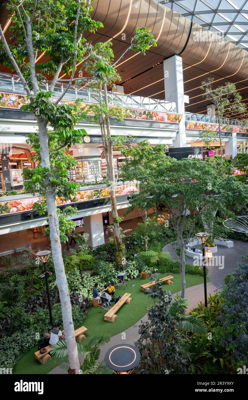 Hamad International Airport becomes an Orchard with curated, sustainable and Green Concourse Stock Photo