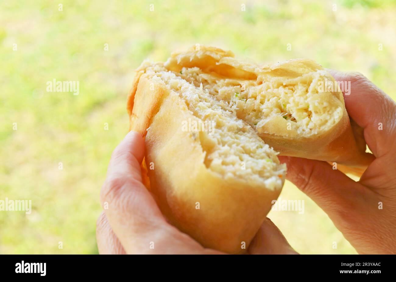 Closeup of Mouthwatering Empanadas de jaiba or crab meat filled Chilean puff pastry in woman's hands Stock Photo