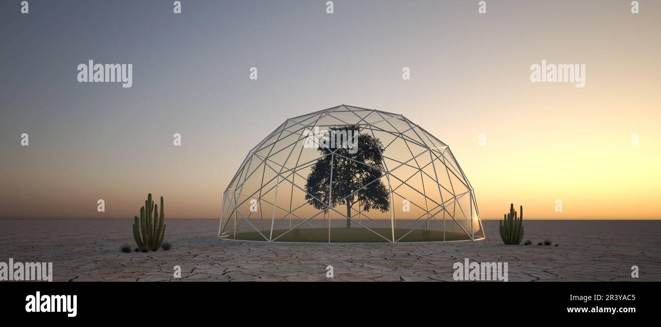 Ecosystem illustration desert hi-res stock photography and images - Alamy