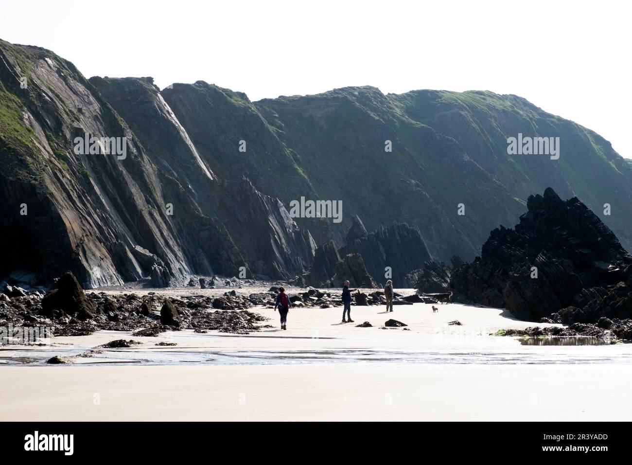 Welsh coast  coastal landscape Marloes Sands Pembrokeshire West Wales UK   KATHY DEWITT Stock Photo