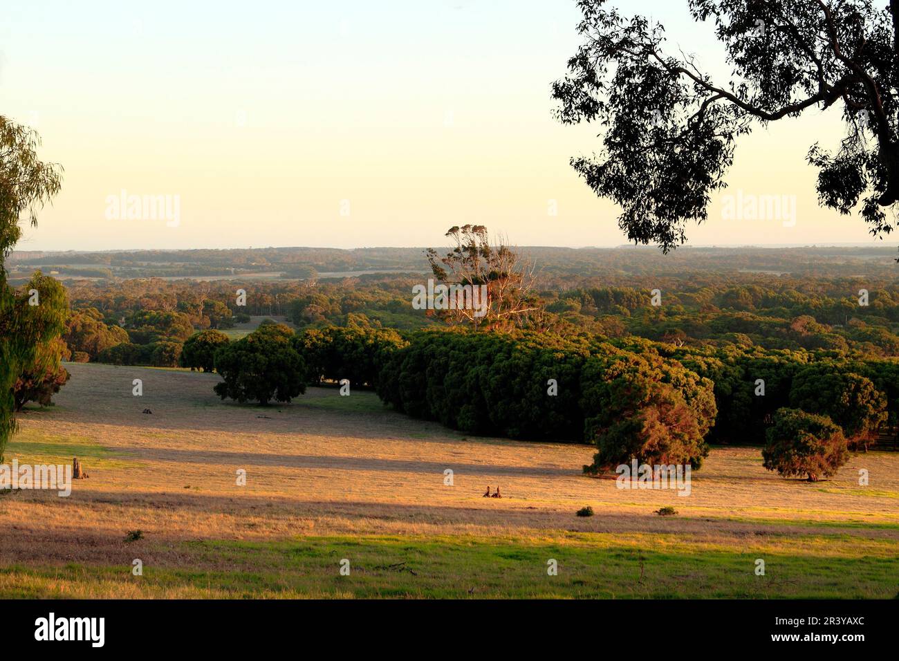 Landscape view, Augusta, Southwest Australia Stock Photo