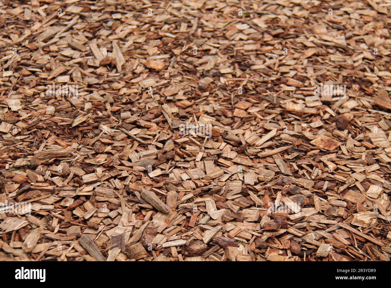 A Textured Background Image of Fresh Wood Chips. Stock Photo