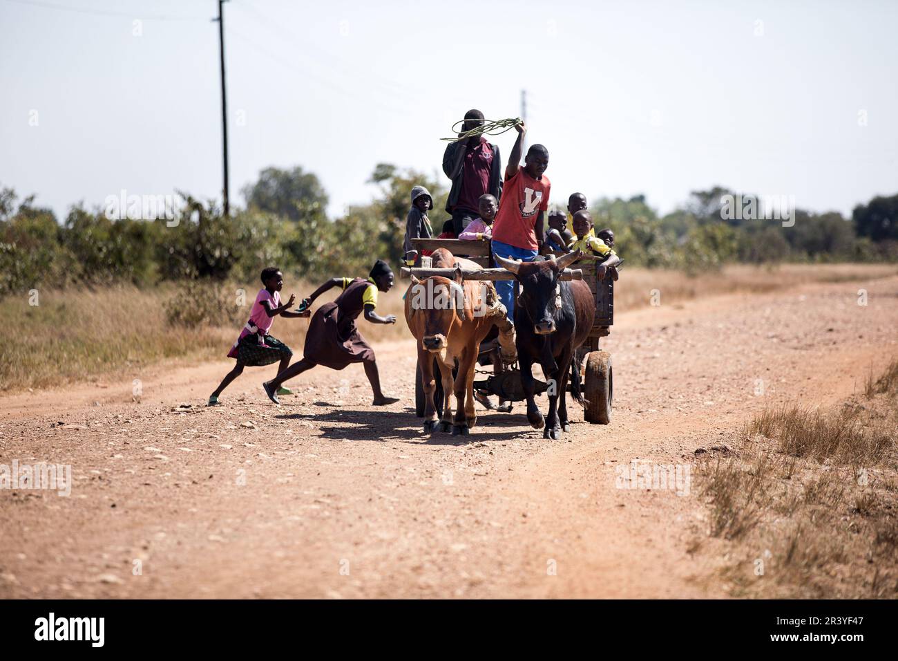 Children gathered to celebrate International Africa Day in Lusaka
