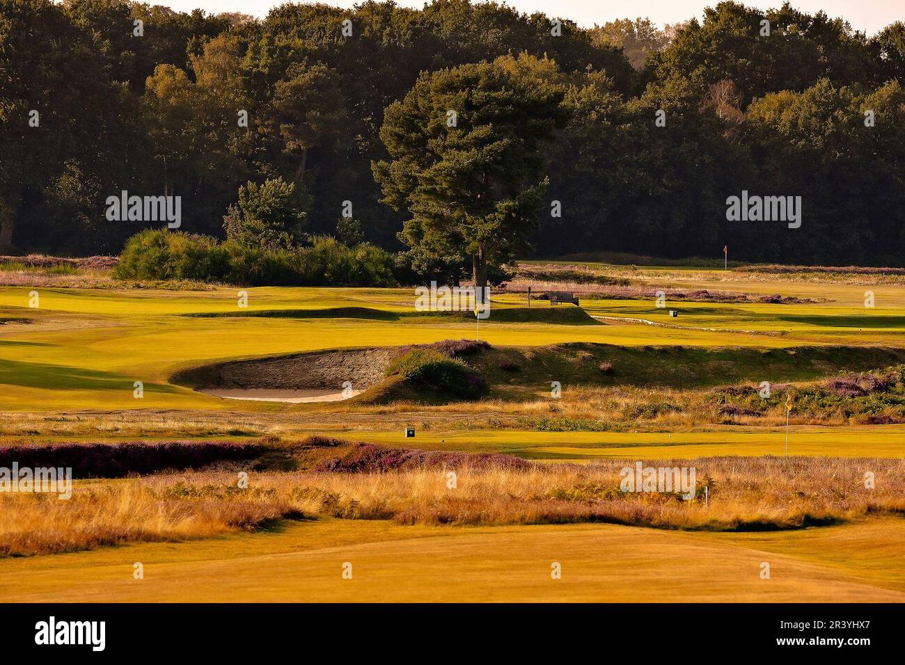 Walton Heath Golf Club, Surrey, UK - host of  the August 2023 AIG WomenÕs Open Stock Photo
