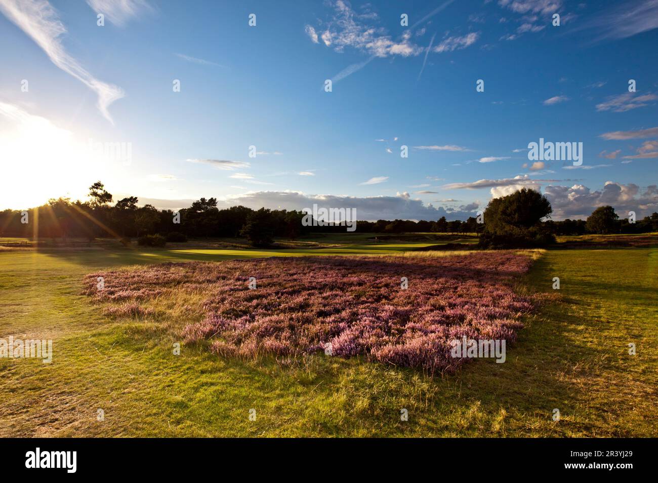 Walton Heath Golf Club, Surrey, UK - host of  the August 2023 AIG WomenÕs Open Stock Photo