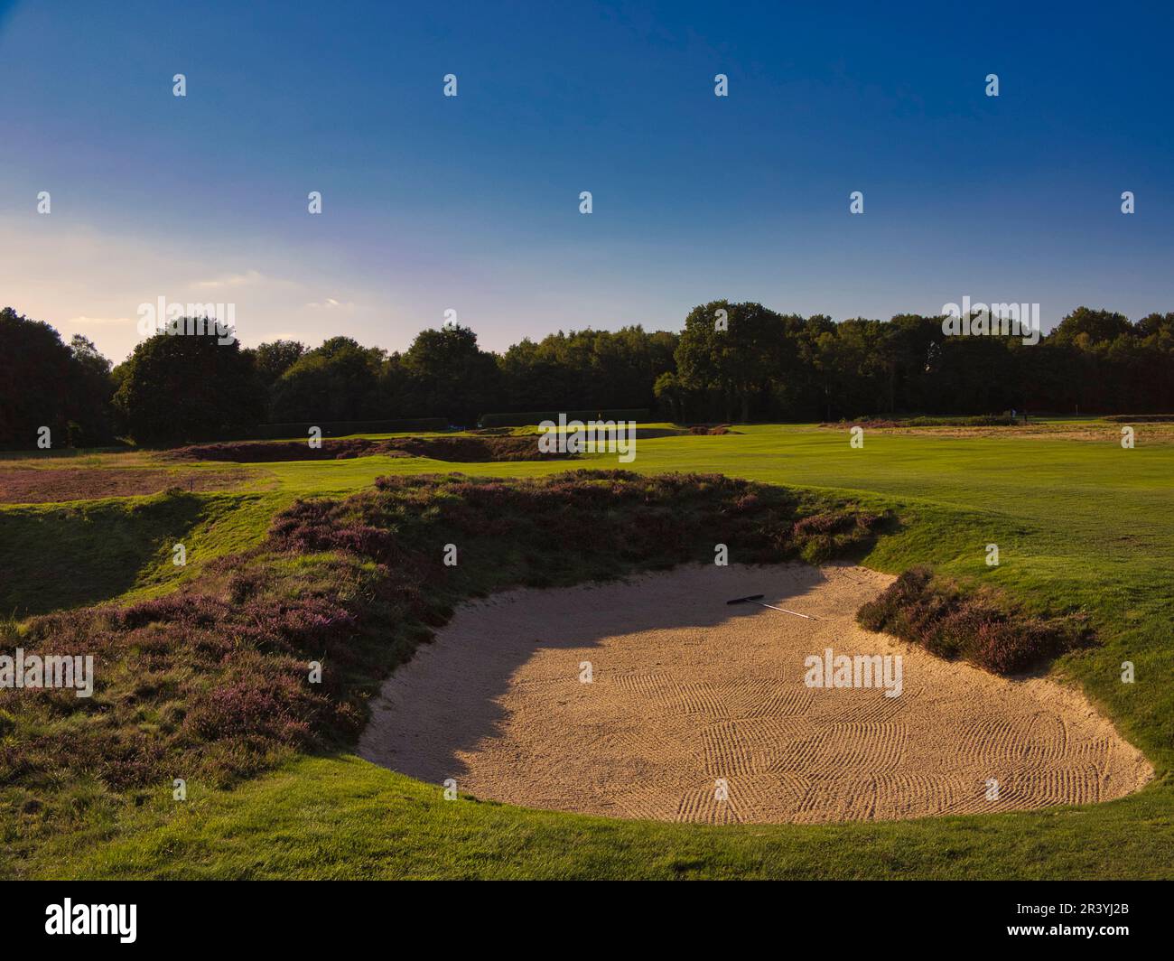 Walton Heath Golf Club, Surrey, UK - host of  the August 2023 AIG WomenÕs Open Stock Photo