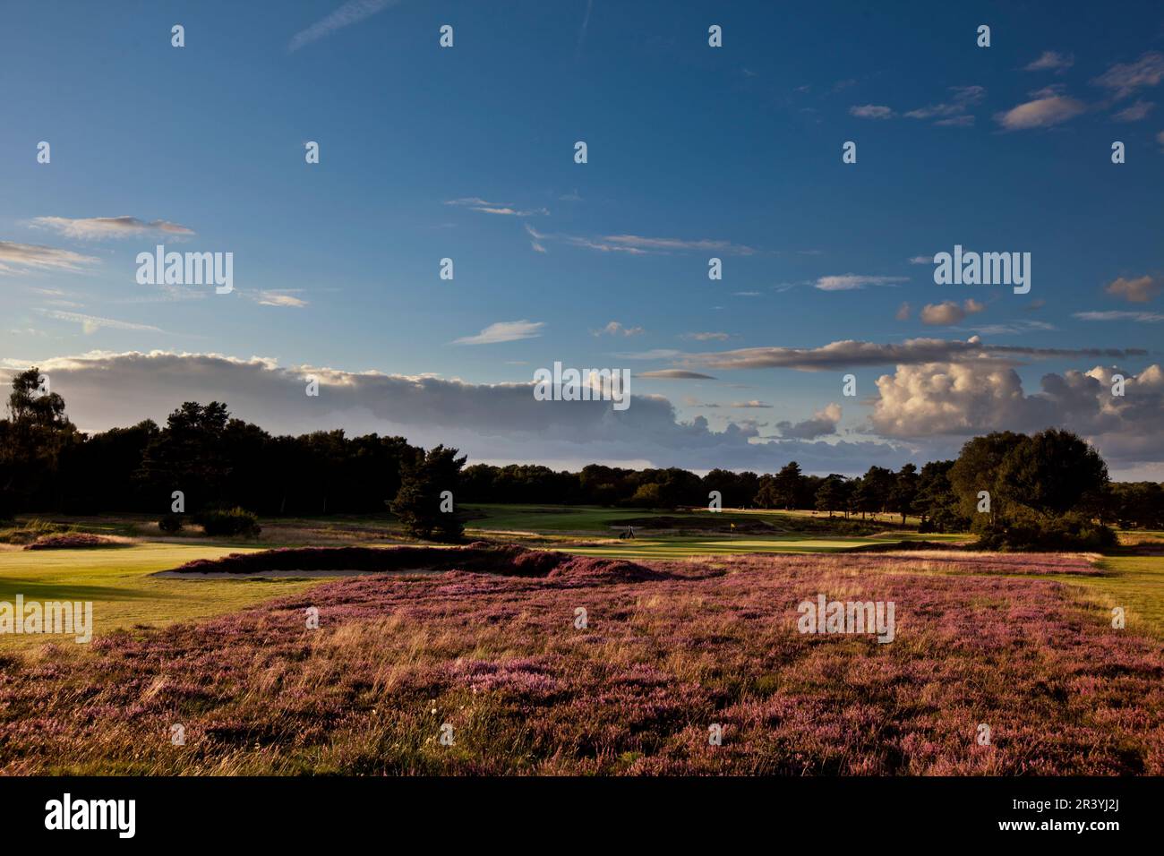Walton Heath Golf Club, Surrey, UK - host of the August 2023 AIG WomenÕs  Open Stock Photo - Alamy