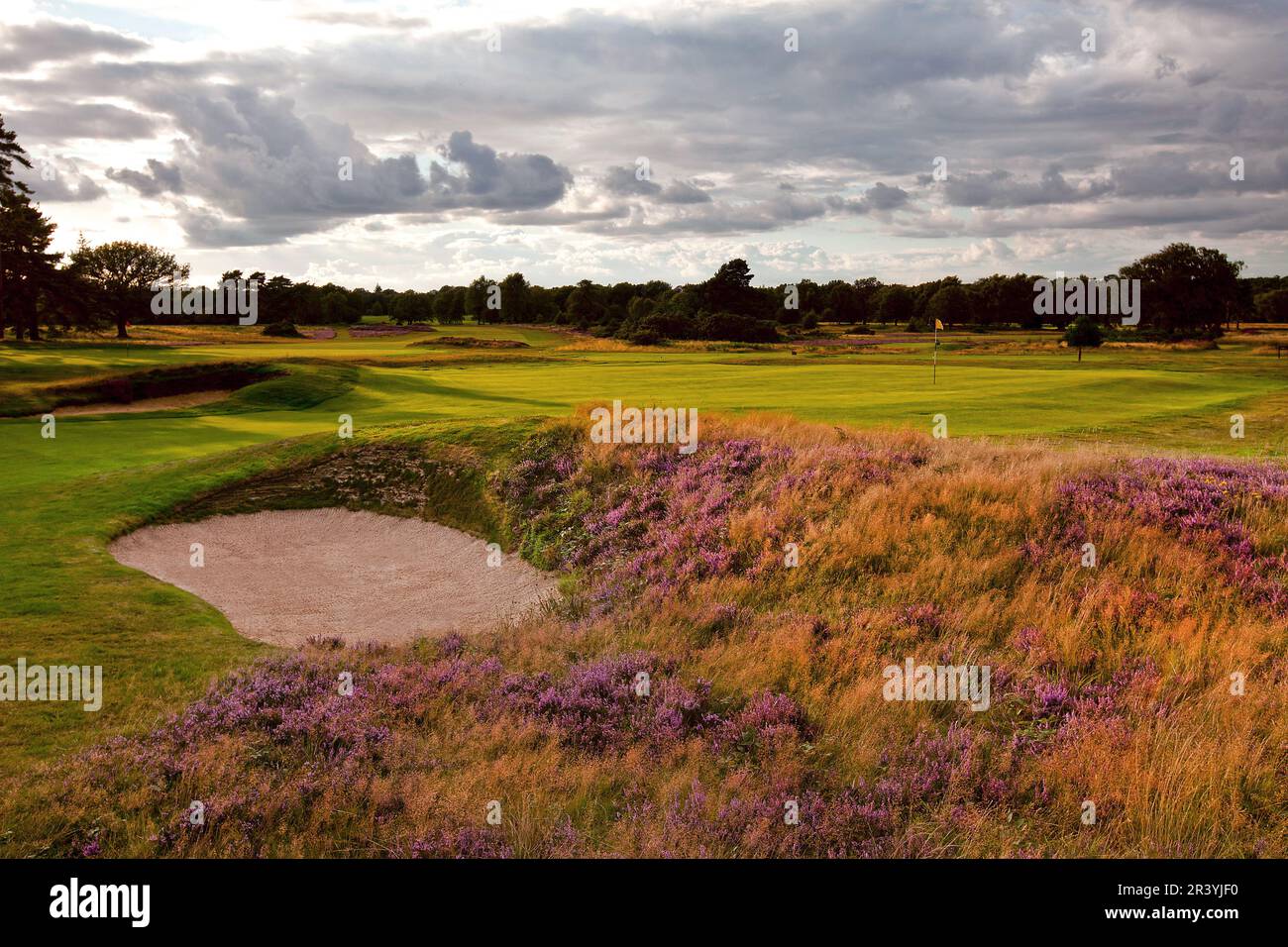 Walton Heath Golf Club, Surrey, UK - host of  the August 2023 AIG WomenÕs Open Stock Photo