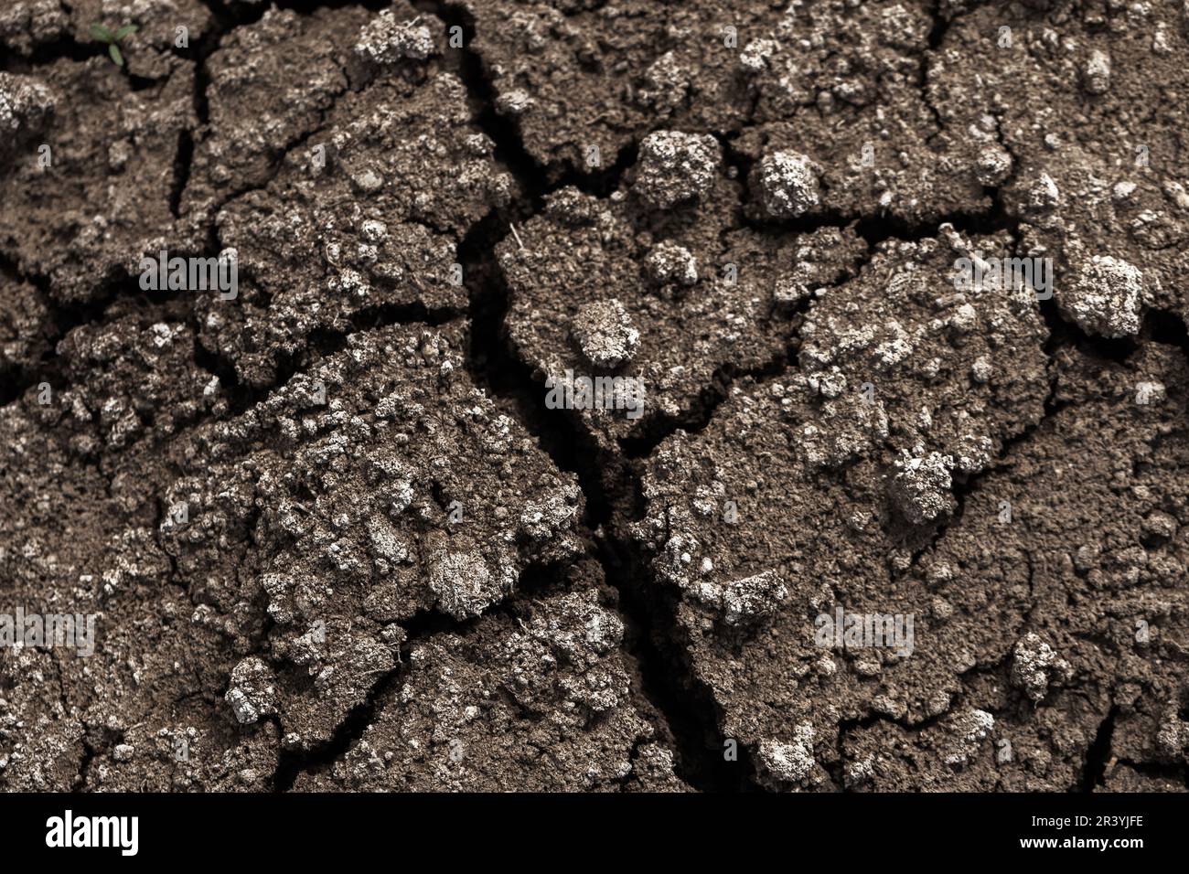 Dry soil with cracks, background photo texture Stock Photo Alamy